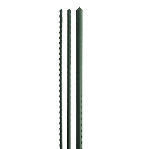 Obligation, BOND SUPER STEEL STAKES