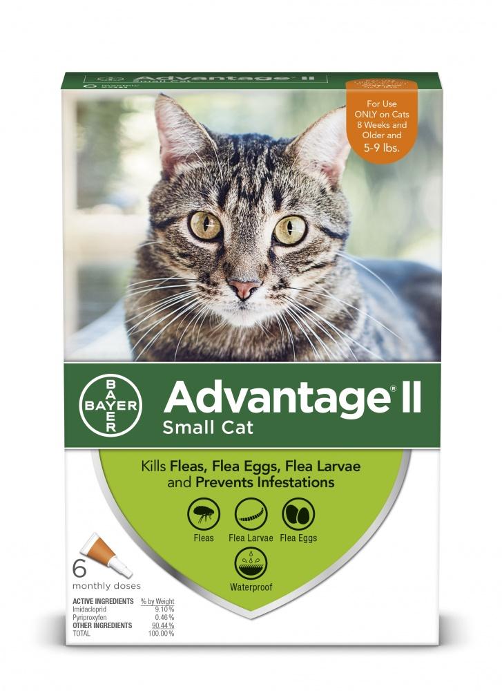 Bayer, Bayer Advantage II petit chat