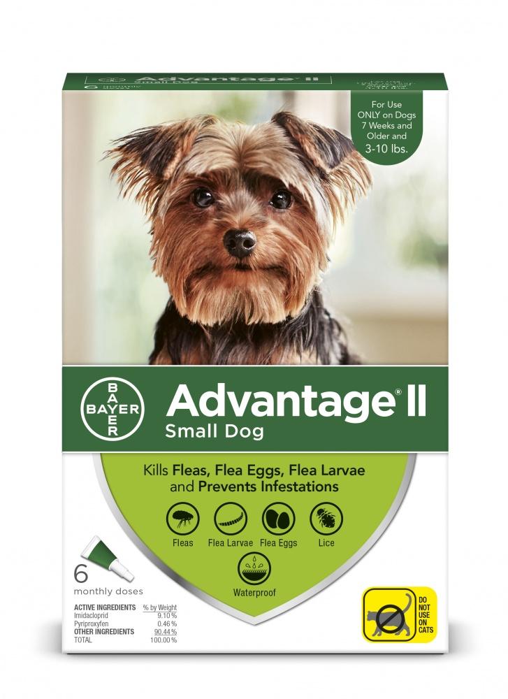 Bayer, Bayer Advantage II pour petits chiens