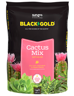 Or Noir, Black Gold® Mélange pour cactus