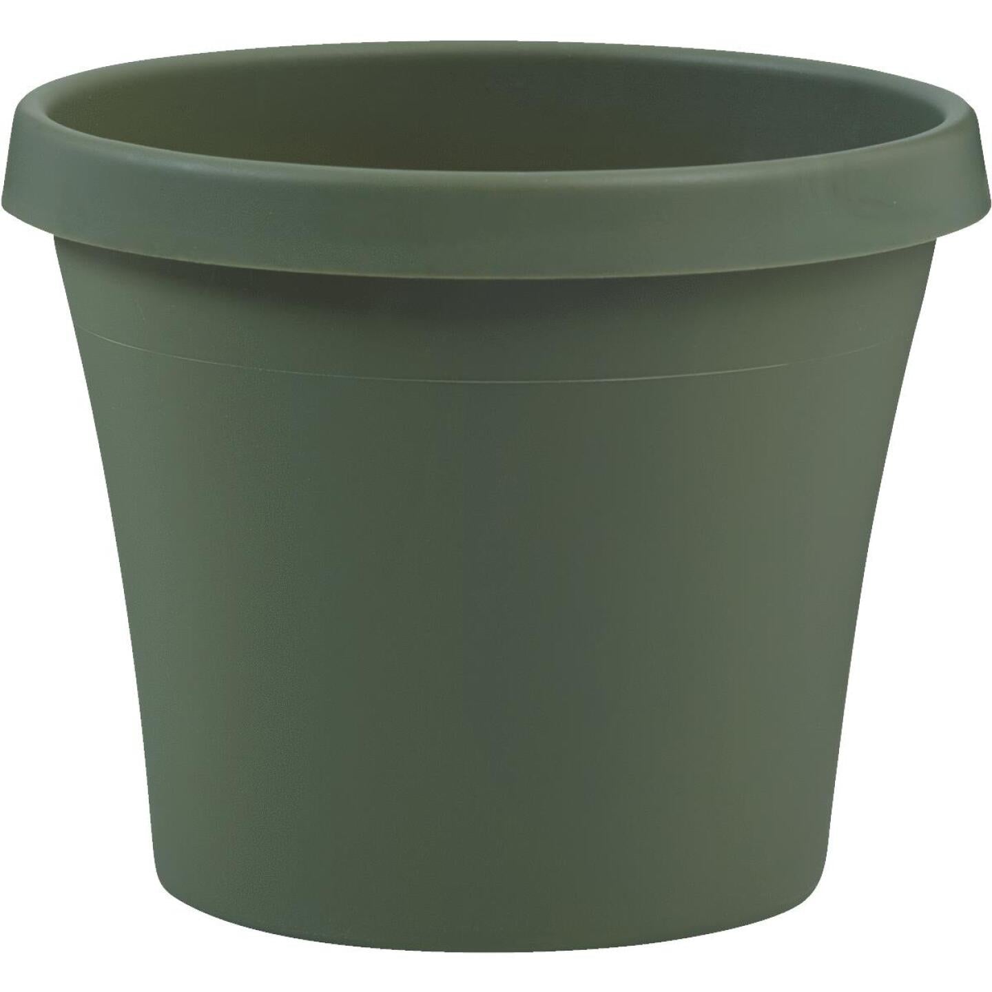 Bloem, Bloem Terra Living Green 5,5 po H. x 6 po Dia. H. x 6 po Dia. Jardinière en polypropylène