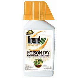 Roundup, Brush Killer, 1-Qt. Concentré