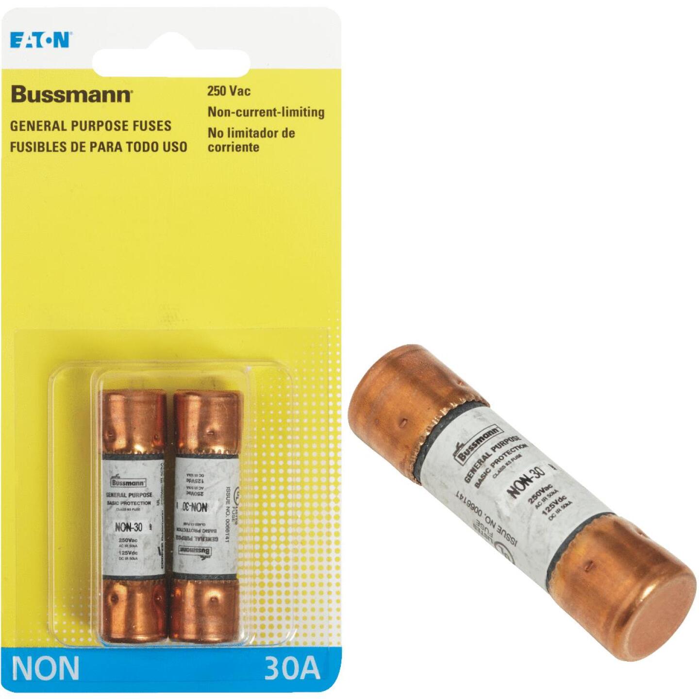 Bussmann, Bussmann 30A NON Cartridge General Purpose Cartridge Fuse (2-Pack)