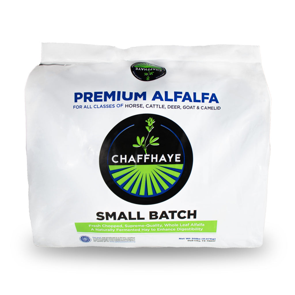 Chaffhaye, Chaffhaye Alfalfa