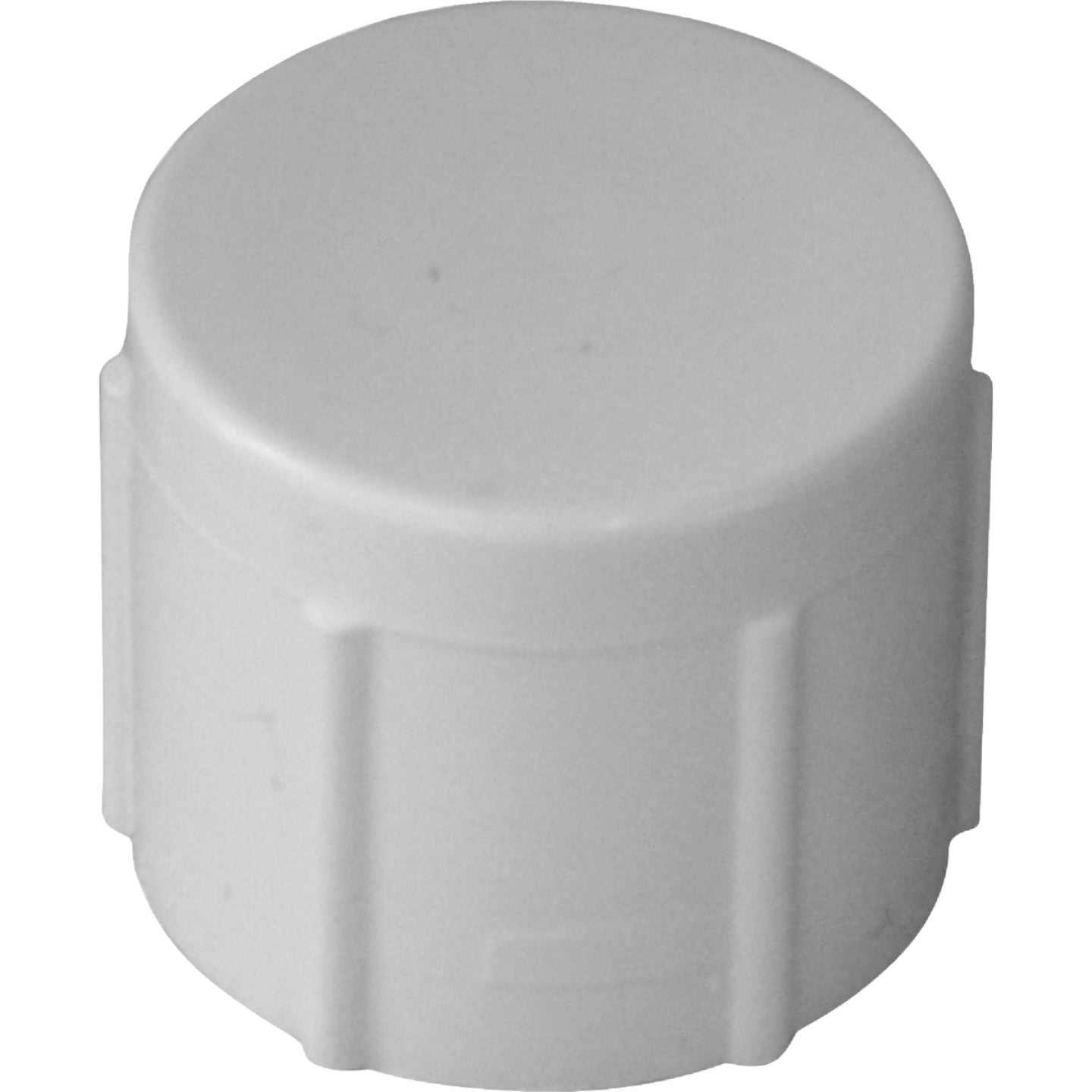 Charlotte Pipe, Charlotte Pipe 2 In. FIP Schedule 40 Threaded PVC Cap