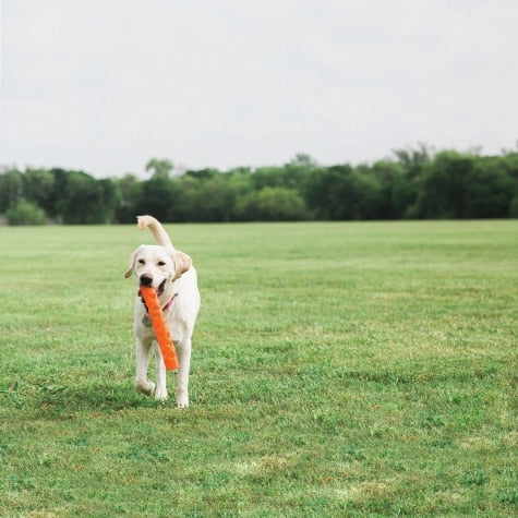 Chuckit !, Chuckit ! Breathe Right Fetch Stick