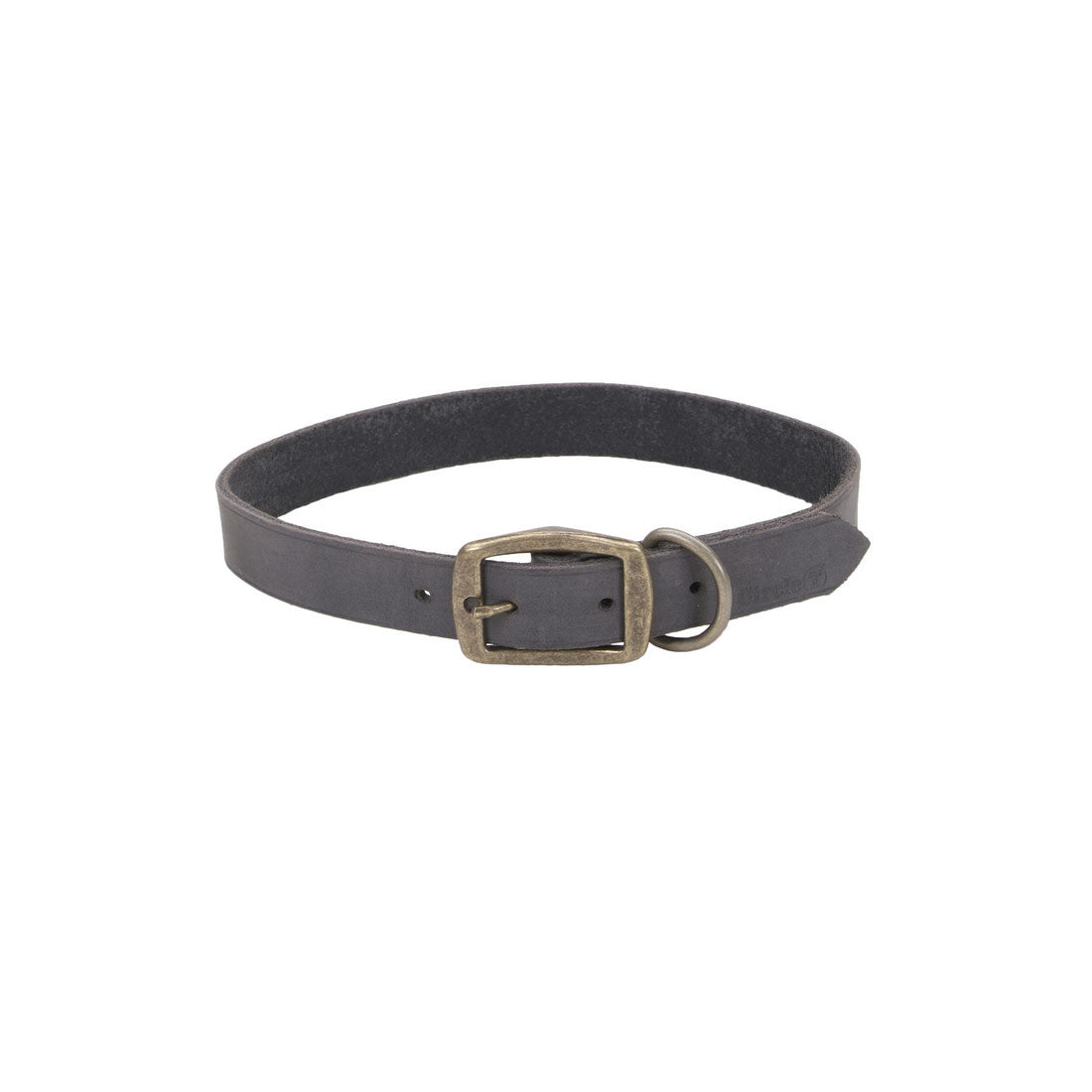 Produits pour animaux de compagnie de la côte, Coastal Pet Products - Collier pour chien en cuir rustique Circle T