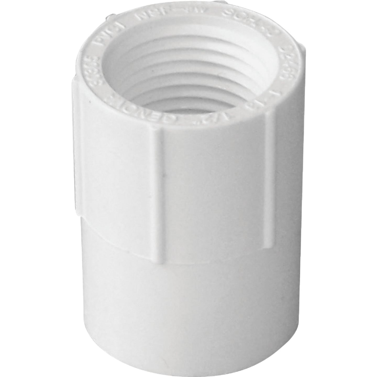 Charlotte Pipe, Tuyau Charlotte Adaptateur femelle en PVC cédule 40 1-1/4 po