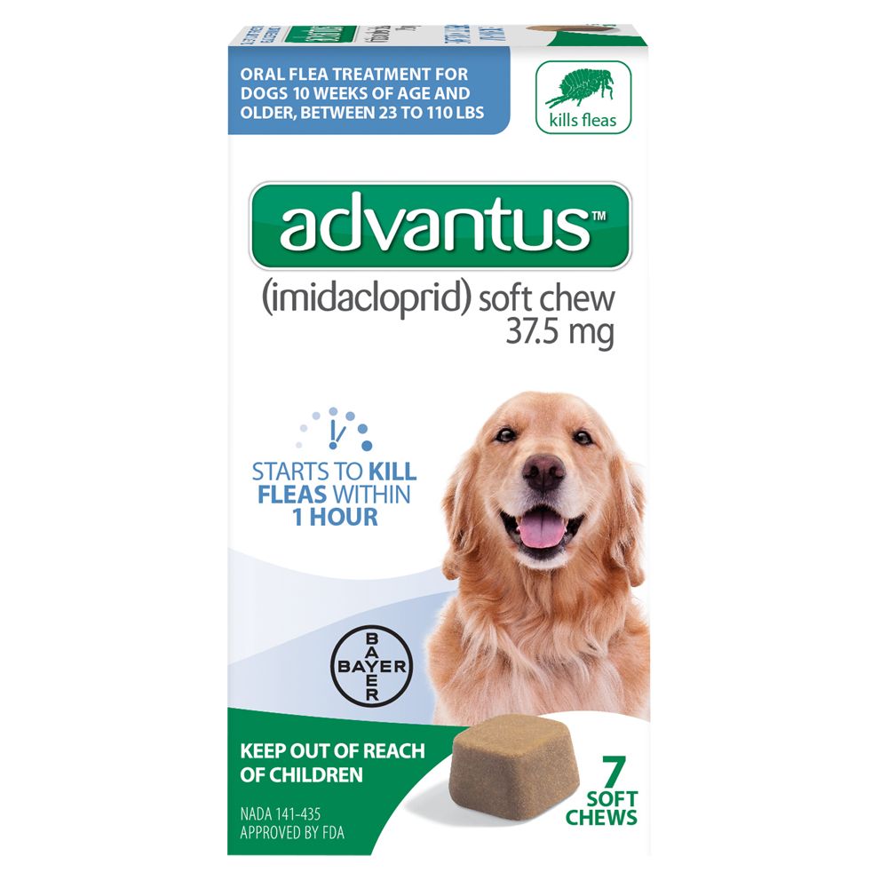 Advantus, advantus® Gros crochet pour chien